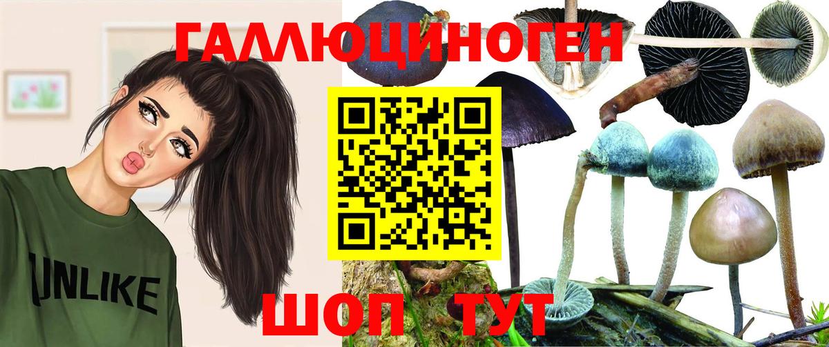 Богданович  купить наркотики цена  Вход с VPN  Псилоцибиновые грибы мицелий 